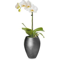 ROYAL Bowl Polystone Planter