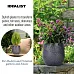 IDEALIST Lite Leaf Embossed Egg Planter