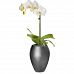 ROYAL Bowl Polystone Planter