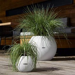 LECHUZA PURO Color Round Poly Resin Self-watering Planter