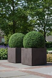 Fibrestone Jumbo Sundried Square Planter by Idealist Premium