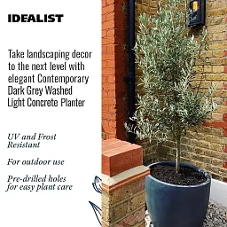 IDEALIST Lite Contemporary Light Concrete Egg Planter
