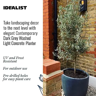 IDEALIST Lite Contemporary Light Concrete Egg Planter