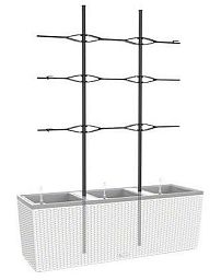 LECHUZA Trellis for TRIO