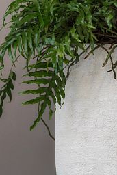 Fibrestone Dice Round Planter by Idealist Premium