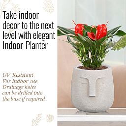 IDEALIST Lite Textured Concrete Effect Oval Indoor Face Pot