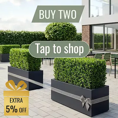 IDEALIST Lite Contemporary Light Concrete High Trough Planter