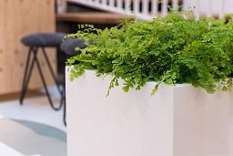 Square Fiberstone Planter by Idealist Premium JUMBO