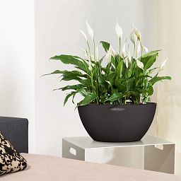 LECHUZA CUBETO COLOR Round Stone Look Poly Resin Self-watering Planter
