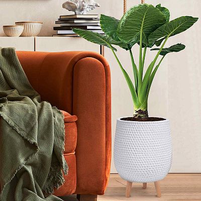 IDEALIST Lite Honeycomb Style Egg Planter on Legs, Round Pot Plant Stand Indoor