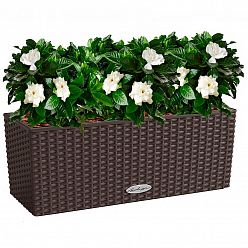 LECHUZA BALCONERA Cottage Trough Poly Resin Self-watering Planter