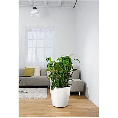 LECHUZA CLASSICO Color Round Poly Resin Self-watering Planter Set