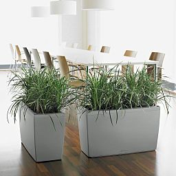 LECHUZA CARARO Trough Poly Resin Self-watering Planter