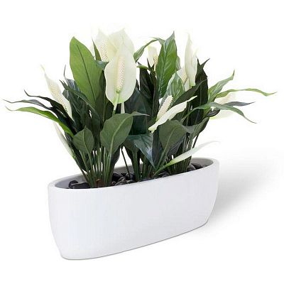 ECONOMY Artificial Grass Plants Sets
