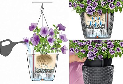 Blooming Hydrangea in LECHUZA NIDO Cottage Self-watering Hanging Planter, Total Height 80 cm