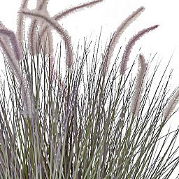 Dogtail with Metal Pot Artificial Grass Plant
