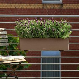 LECHUZA BALCONERA Color Trough Poly Resin Self-watering Planter Set