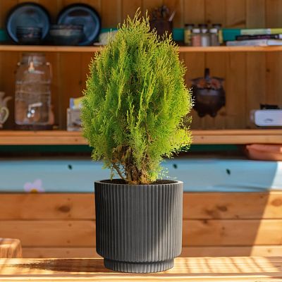 IDEALIST Lite Vertical Ribbed Cylinder Outdoor Planter