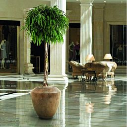 Ceramic Sepia Round Planter Pot In/Out