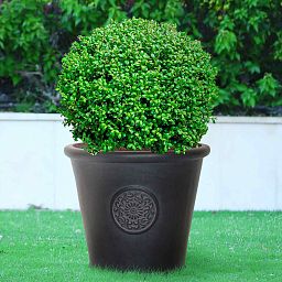 IDEALIST Lite Rustic Style Rolled Rim Wide Vase Outdoor Planter