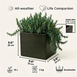 IDEALIST Lite Square Box Contemporary Light Concrete Planter