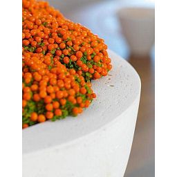 Bowl Round Polystone Planter by Fleur Ami EGO PLUS