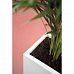 PREMIUM TOWER Planting Column Tall Plastic Planter