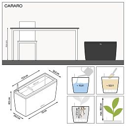 LECHUZA CARARO Trough Poly Resin Self-watering Planter