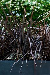 Raised Fiberstone Trough Planter by Idealist Premium JORT