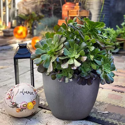 IDEALIST Lite Contemporary Light Concrete Egg Planter