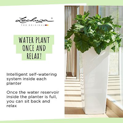 LECHUZA CUBICO ALTO Square Tall Poly Resin Self-watering Planter