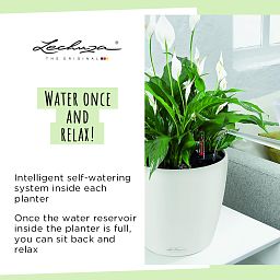 LECHUZA CLASSICO Color Round Poly Resin Self-watering Planter