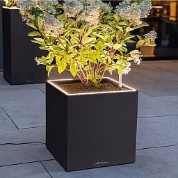 LECHUZA CANTO Slatestone Low Square Poly Resin Self-watering Planter