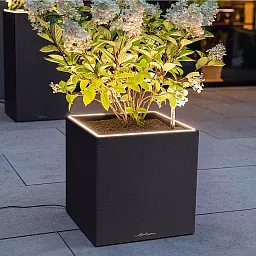LECHUZA CANTO Slatestone Low Square Poly Resin Self-watering Planter