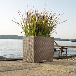 LECHUZA CUBE Cottage Square Poly Resin Self-watering Planter