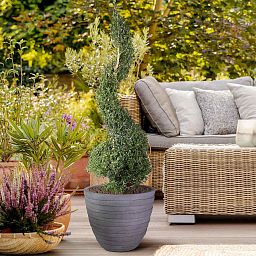 IDEALIST Lite Row Light Concrete Egg Planter