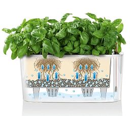 LECHUZA DELTA 10|DELTA 20 Poly Resin Indoor Self-watering Planter