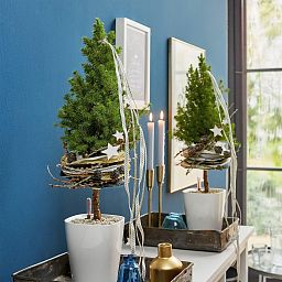 LECHUZA DELTINI|MINI-DELTINI Round Poly Resin Indoor Self-watering Planter
