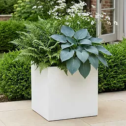 IDEALIST Lite Square Box Contemporary Light Concrete Planter