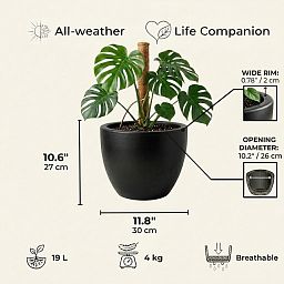 IDEALIST Lite Contemporary Light Concrete Egg Planter