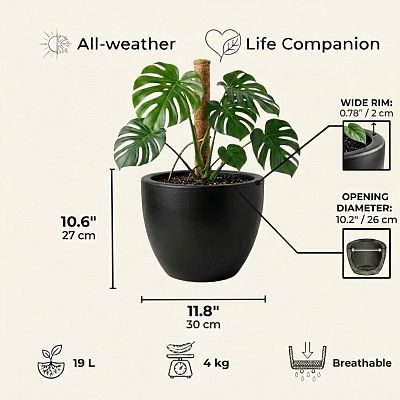 IDEALIST Lite Contemporary Light Concrete Egg Planter