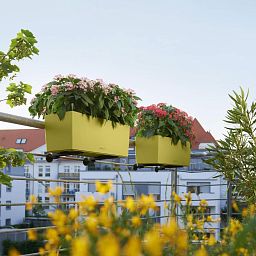 LECHUZA BALCONERA Color Trough Poly Resin Self-watering Planter Set