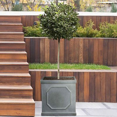 IDEALIST Lite Faux Lead Chelsea Box Square Light Concrete Planter