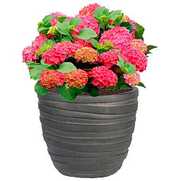 IDEALIST Lite Row Light Concrete Egg Planter