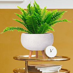 IDEALIST Lite Honeycomb Style Bowl Planter on Legs, Round Pot Plant Stand Indoor