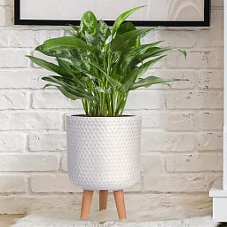IDEALIST Lite Honeycomb Style Cylinder Planter on Legs, Round Pot Plant Stand Indoor