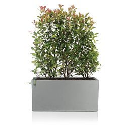 IDEALIST Lite Contemporary Light Concrete Trough Planter Set