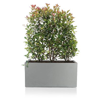 IDEALIST Lite Contemporary Light Concrete Trough Planter Set