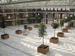Hardwood Sevilla Square Wood Outdoor Planter