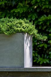 WINDOW BOX Fiberstone Planter by Idealist Premium Balcony